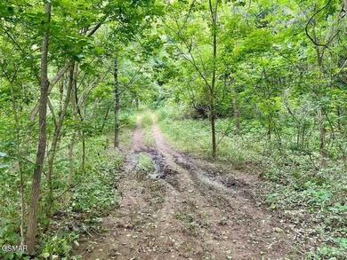 7.61+/- Acres, 1,912' of frontage on Winfield Dunn Parkway, Hwy - photo 22