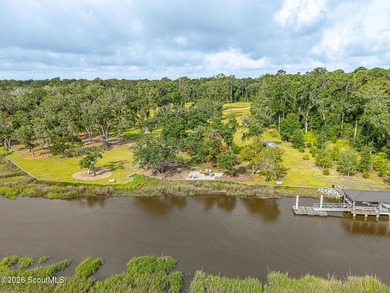 24 Carriage Drive | 8.51 Acres | Jones Creek | Dock, Lift & - photo 23