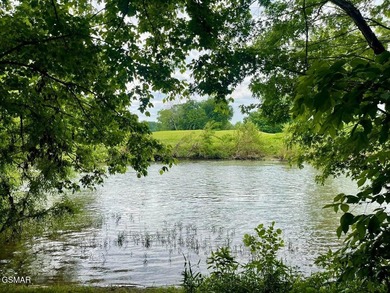 7.61+/- Acres, 1,912' of frontage on Winfield Dunn Parkway, Hwy - photo 23