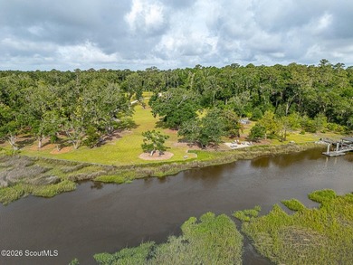 24 Carriage Drive | 8.51 Acres | Jones Creek | Dock, Lift & - photo 24