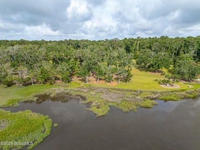24 Carriage Drive | 8.51 Acres | Jones Creek | Dock, Lift & - photo 25