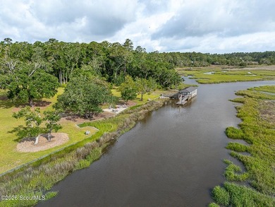 24 Carriage Drive | 8.51 Acres | Jones Creek | Dock, Lift & - photo 26
