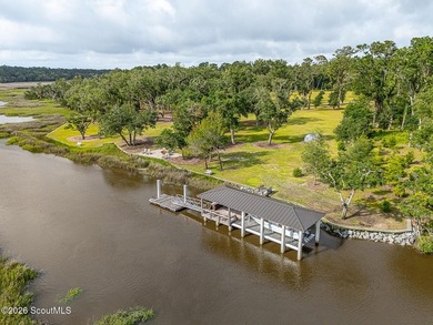 24 Carriage Drive | 8.51 Acres | Jones Creek | Dock, Lift & - photo 29