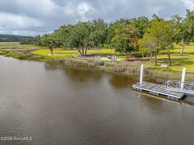 24 Carriage Drive | 8.51 Acres | Jones Creek | Dock, Lift & - photo 32