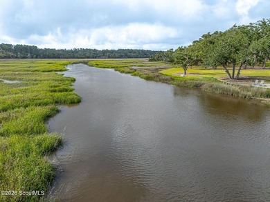 24 Carriage Drive | 8.51 Acres | Jones Creek | Dock, Lift & - photo 33