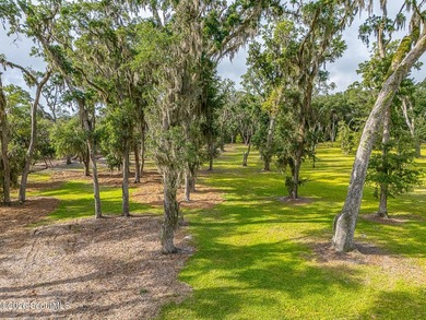 24 Carriage Drive | 8.51 Acres | Jones Creek | Dock, Lift & - photo 35