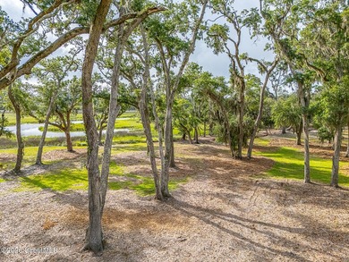 24 Carriage Drive | 8.51 Acres | Jones Creek | Dock, Lift & - photo 36