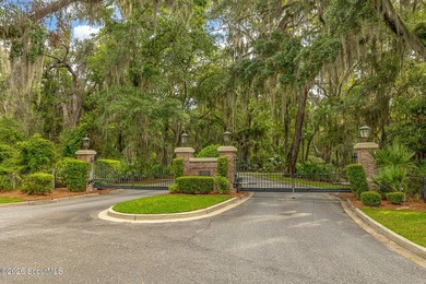 24 Carriage Drive | 8.51 Acres | Jones Creek | Dock, Lift & - photo 39