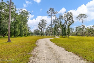 24 Carriage Drive | 8.51 Acres | Jones Creek | Dock, Lift & - photo 40