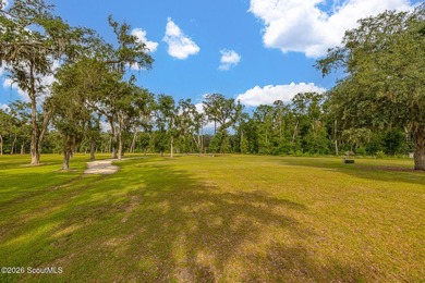 24 Carriage Drive | 8.51 Acres | Jones Creek | Dock, Lift & - photo 41
