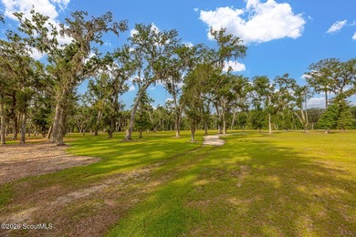 24 Carriage Drive | 8.51 Acres | Jones Creek | Dock, Lift & - photo 42