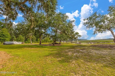 24 Carriage Drive | 8.51 Acres | Jones Creek | Dock, Lift & - photo 43