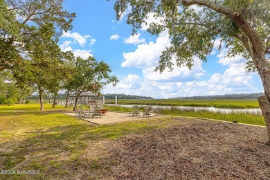 24 Carriage Drive | 8.51 Acres | Jones Creek | Dock, Lift & - photo 44