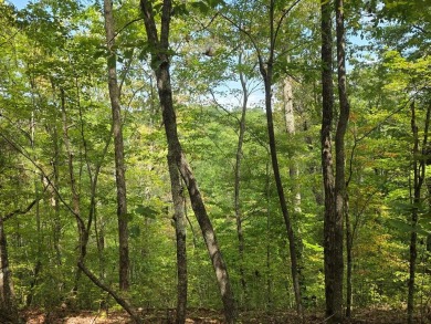 Lake Acreage For Sale in Ellijay, Georgia