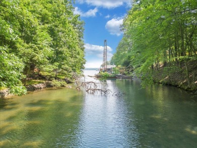 Lake Lot For Sale in Moneta, Virginia