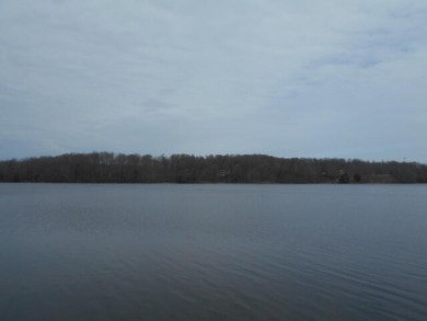 58.5 ACRES overlooking Hamlin Lake! with direct access! - Lake Acreage For Sale in Ludington, Michigan