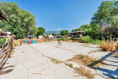 This rare 6.63-acre property within city limits features a - photo 40