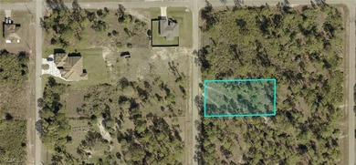 Lehigh Acres Area Lot For Sale in Lehigh Acres Florida