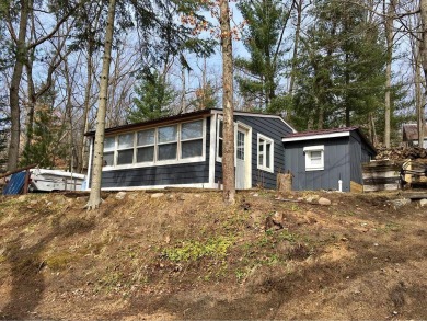 Bertha Lake Home For Sale in Harrison Michigan