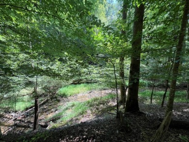 Lake Lot For Sale in Ellijay, Georgia