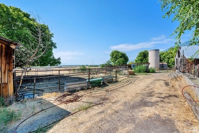 This rare 6.63-acre property within city limits features a - photo 43