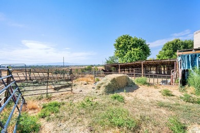 This rare 6.63-acre property within city limits features a - photo 45