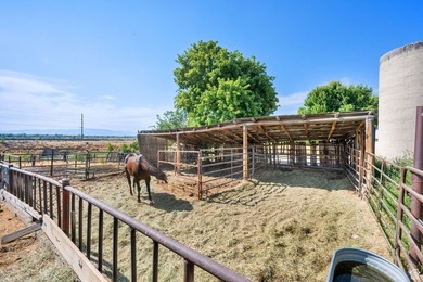This rare 6.63-acre property within city limits features a - photo 46