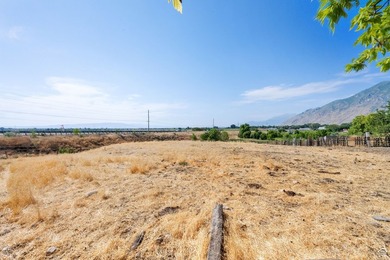 This rare 6.63-acre property within city limits features a - photo 48