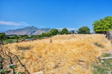 This rare 6.63-acre property within city limits features a - photo 50