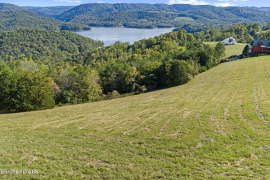Lake Lot For Sale in New Tazewell, Tennessee