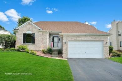 Lake Home Sale Pending in Bolingbrook, Illinois