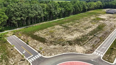 This is a Fox Homes-owned lot located in The Villages of Arneo - photo 4