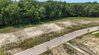 This is a Fox Homes-owned lot located in The Villages of Arneo - photo 7