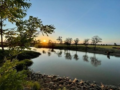 (private lake, pond, creek) Acreage For Sale in Gause Texas