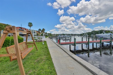 (private lake, pond, coastal) Condo For Sale in Tampa Florida