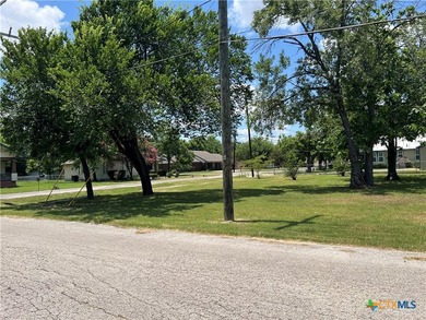 Large corner lot with tall mature trees in the heart of Granger - photo 3