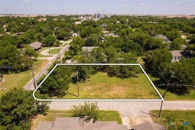 Large corner lot with tall mature trees in the heart of Granger - photo 6