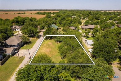 Large corner lot with tall mature trees in the heart of Granger - photo 8