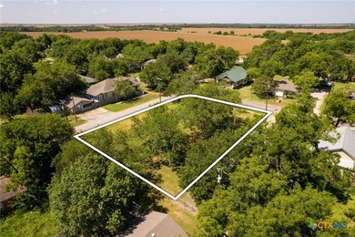 Large corner lot with tall mature trees in the heart of Granger - photo 9