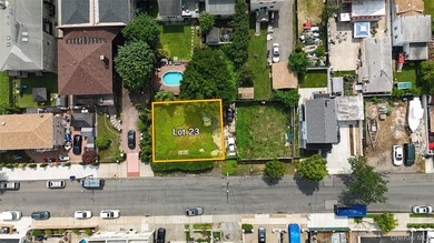 Rare opportunity in the Bronx to purchase a vacant/development - photo 2