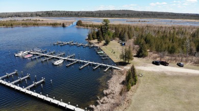 Lake Lot For Sale in Indian River, Michigan