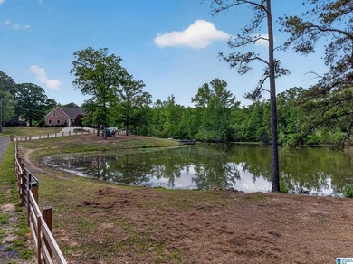 PRICE REDUCTION AND NEW ROOF!!! MOTIVATED SELLERS! BRING OFFER! - photo 49