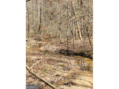 (private lake, pond, coastal) Acreage For Sale in Dallas Georgia