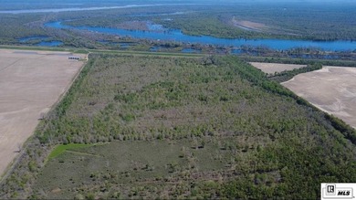 Deer Park Plantation is a 638 acre turnkey hunting and - photo 1