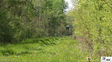 Deer Park Plantation is a 638 acre turnkey hunting and - photo 3