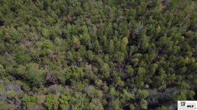 Deer Park Plantation is a 638 acre turnkey hunting and - photo 4