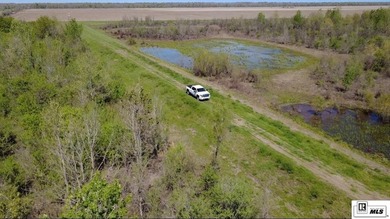 Deer Park Plantation is a 638 acre turnkey hunting and - photo 6