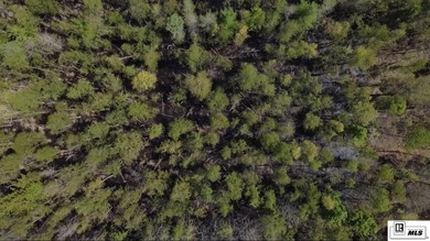 Deer Park Plantation is a 638 acre turnkey hunting and - photo 9
