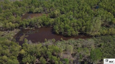 Deer Park Plantation is a 638 acre turnkey hunting and - photo 10