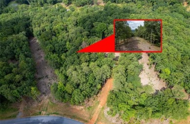 Lake Lot For Sale in Talking Rock, Georgia